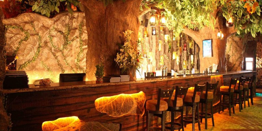 Rainforest Resto Bar - Viman Nagar - Pune Image