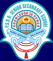 Padma Seshadri Bala Bhavan Senior Secondary School - K K Nagar - Chennai Image