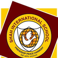 Shah International School - Ambika Vihar - New Delhi Image