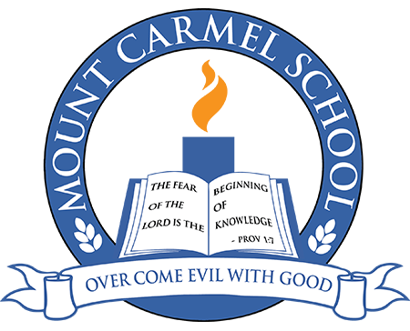 Mount Carmel Public School - Dwarka - New Delhi Image