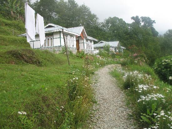 Babumoshai Resort - Ravangla Image