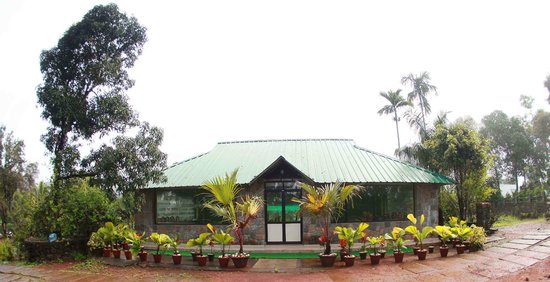 Emarald Wyte Mist - Munnar Image