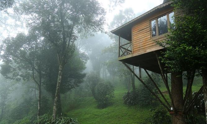 Nature Zone Jungle Resort - Munnar Image