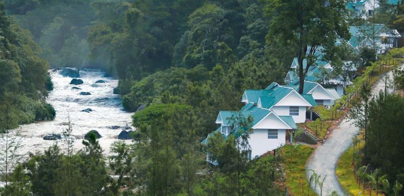 Rivulet - Munnar Image