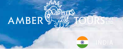 Amber Tours - New Delhi Image