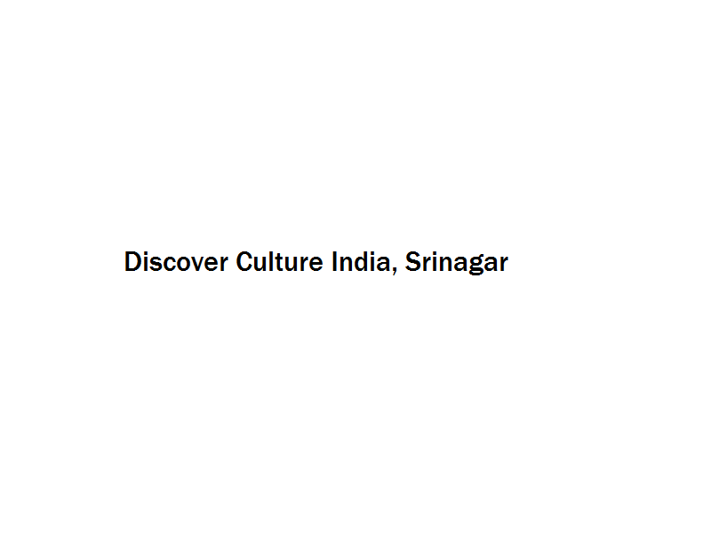 Discover Culture India - Srinagar Image