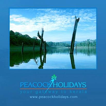 Peacock Holidays - Kottayam Image