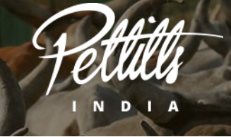 Pettitts India Tours - New Delhi Image