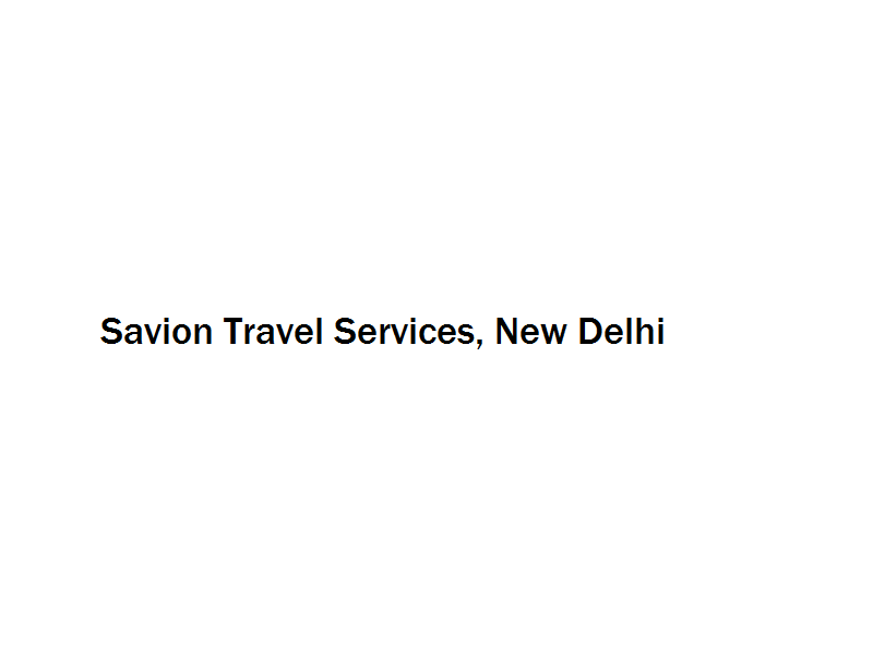 Savion Travel Services - New Delhi Image