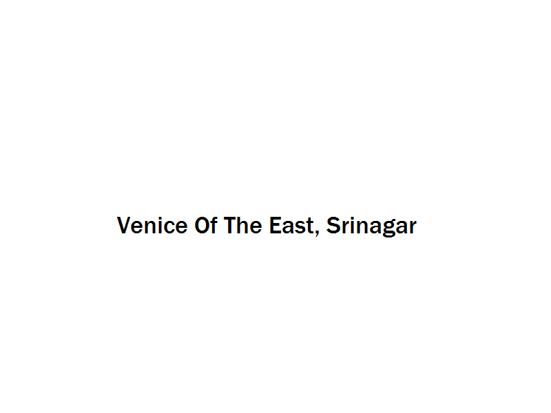 Venice Of The East - Srinagar Image