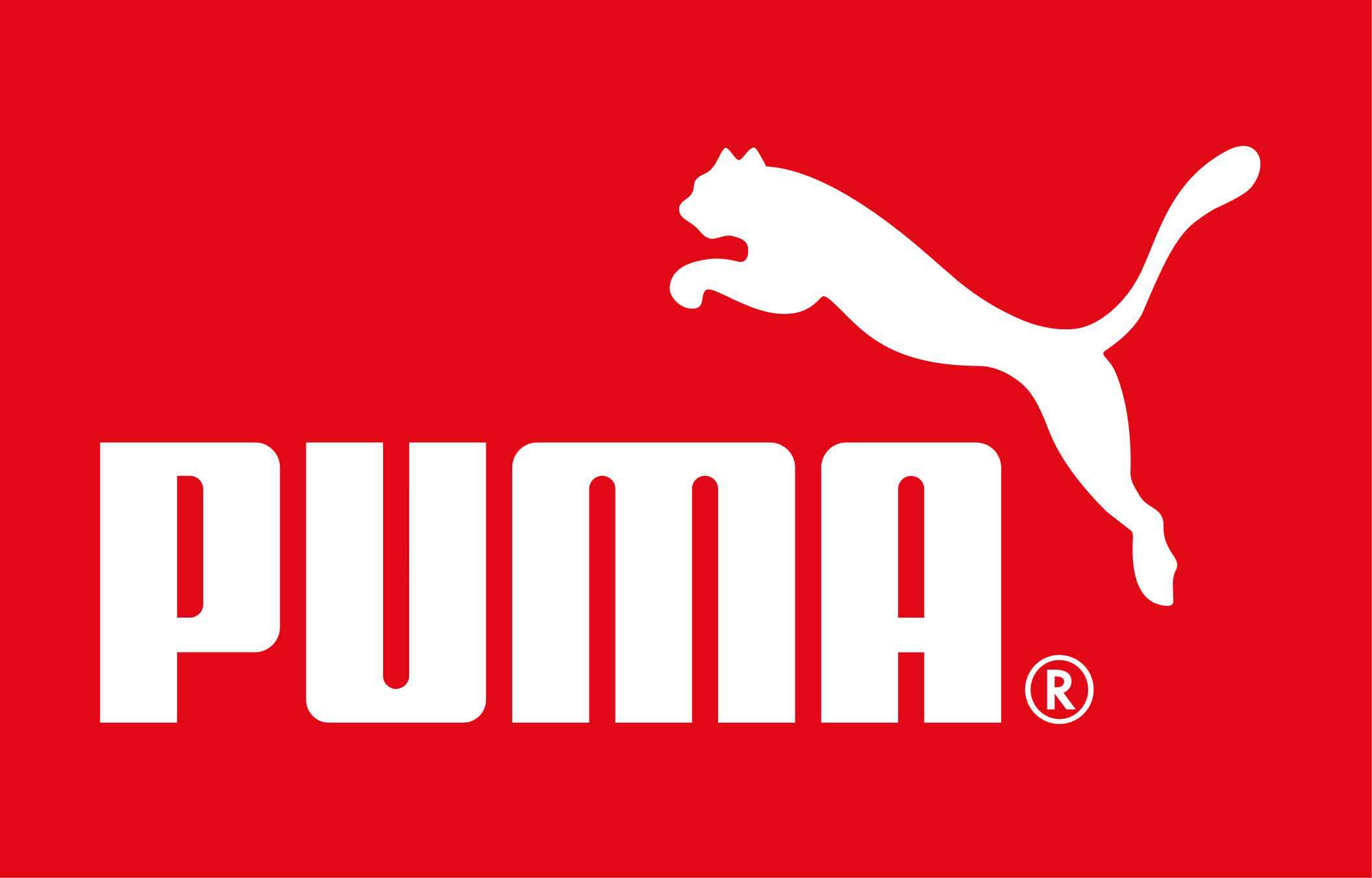 Puma Image