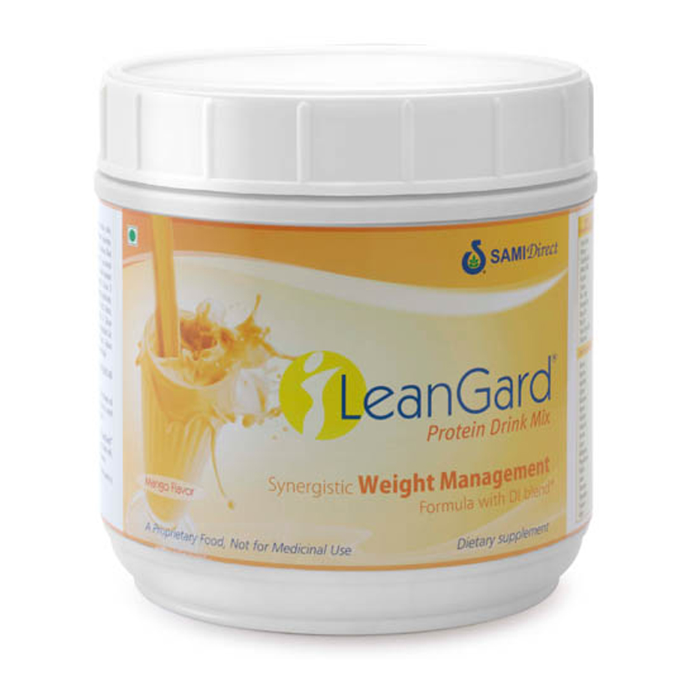 Leanguard Image