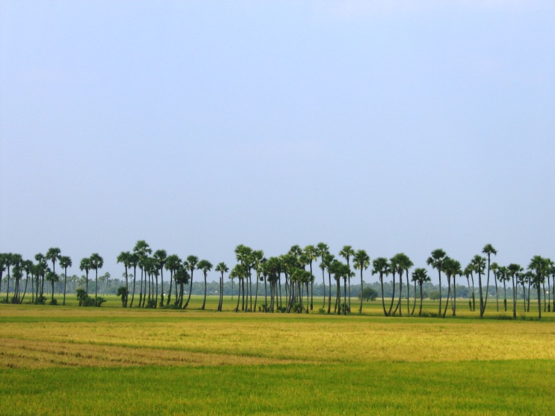 Tenali Image