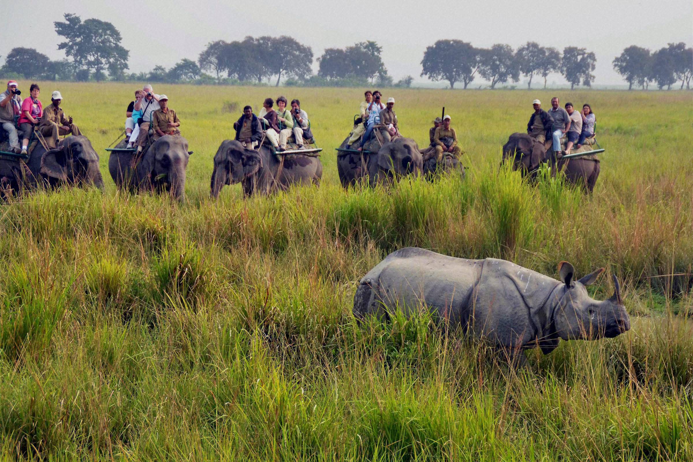 Jorhat Image