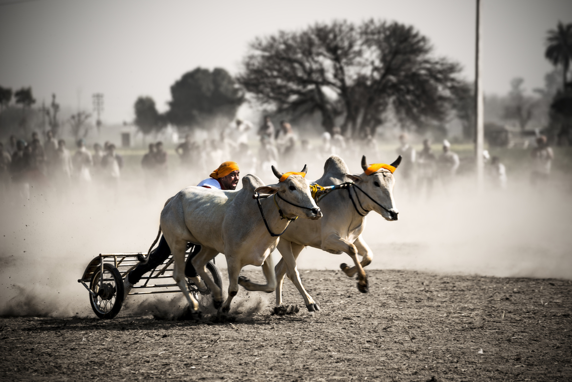 Kila Raipur Image