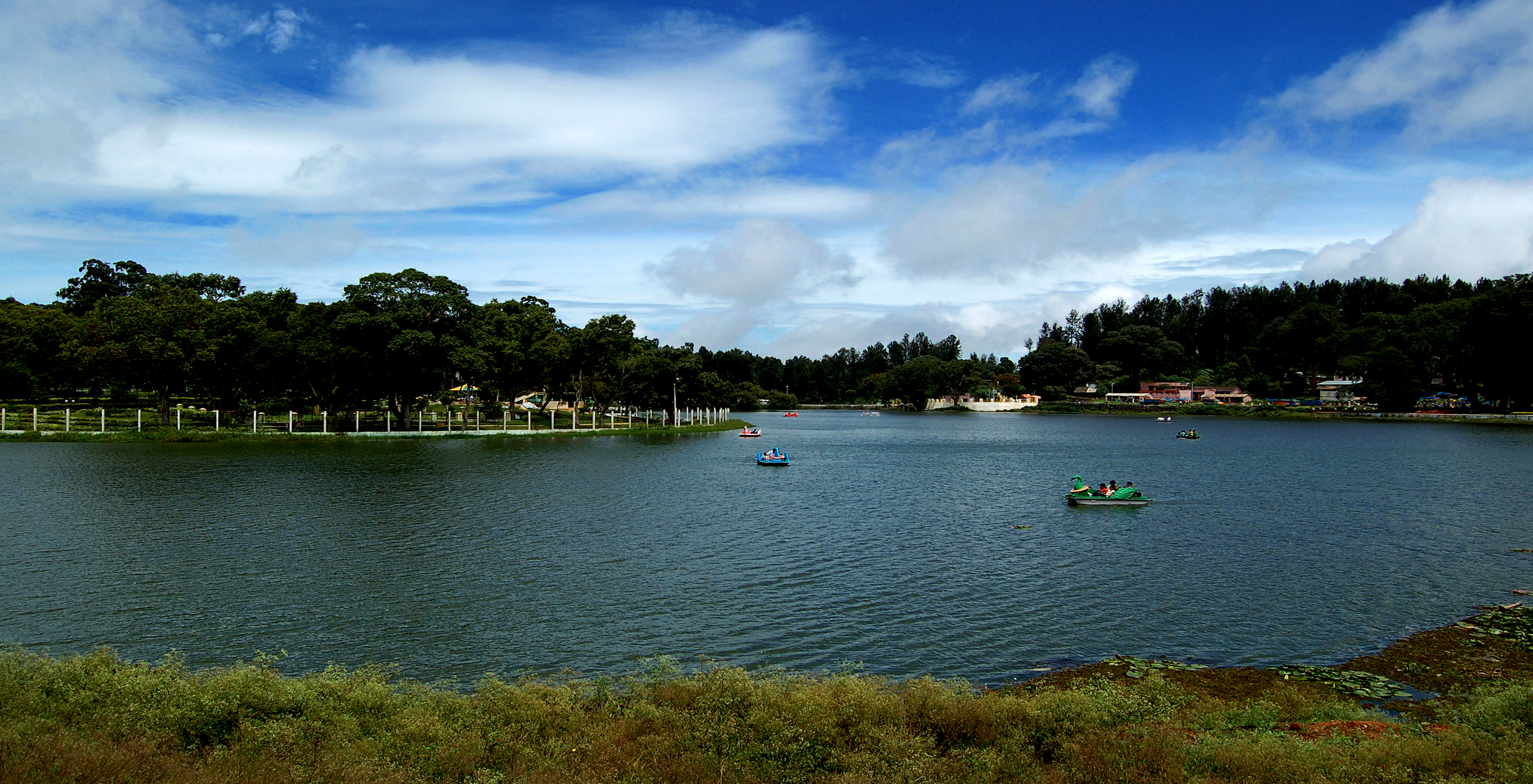 Yercaud Image