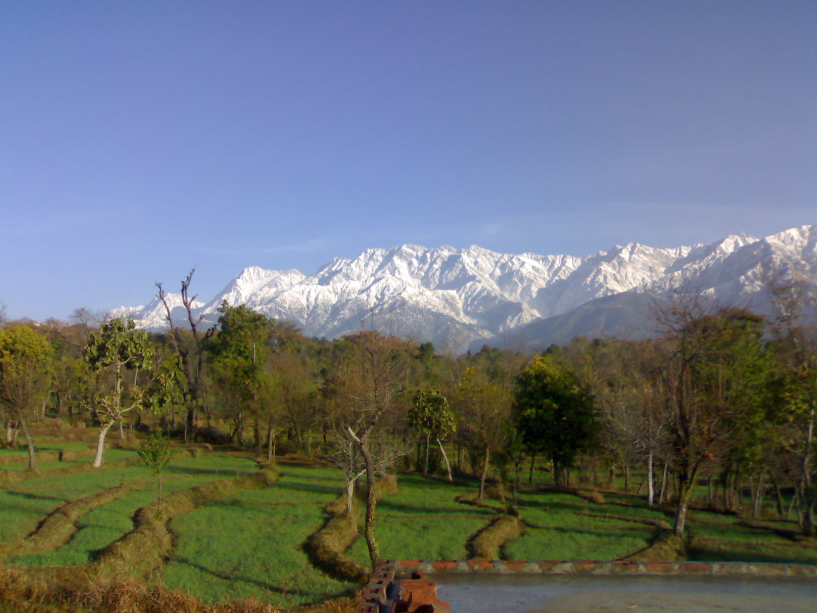 Palampur Image