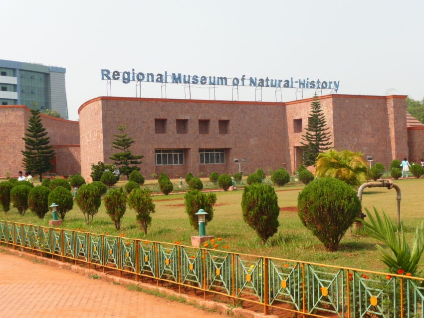 Regional Museum of Natural History - Bhubaneshwar Image