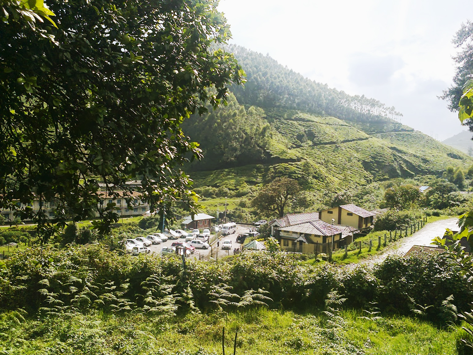 Kannan Devan Tea Museum - Munnar Image