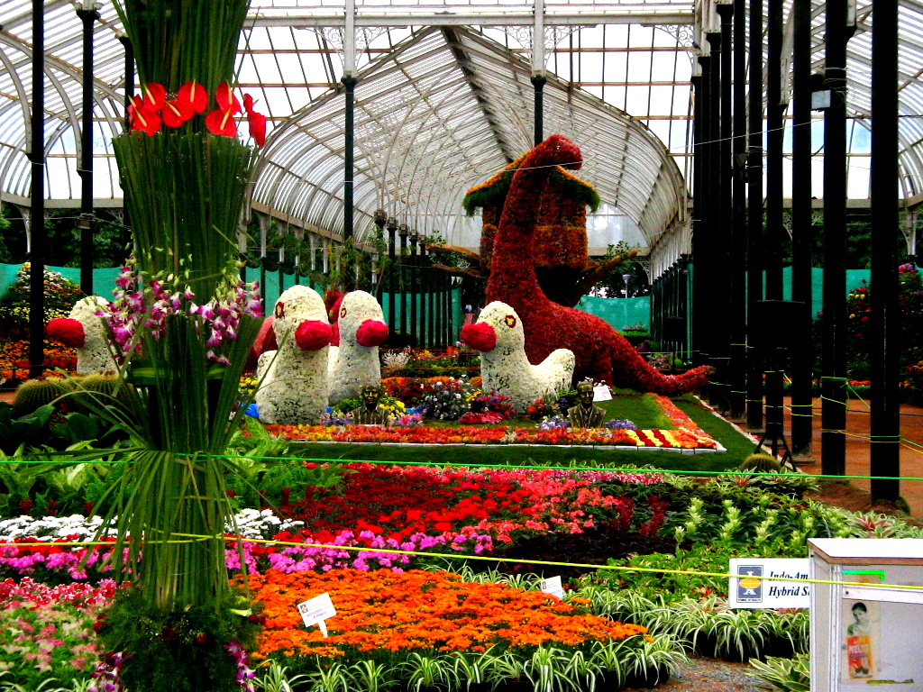 Lal Bagh Garden - Bengaluru Image