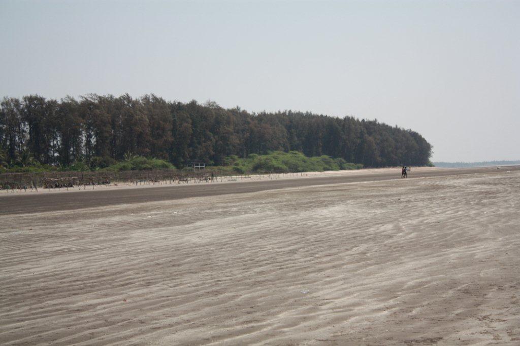 Mahim Beach - Palghar Image