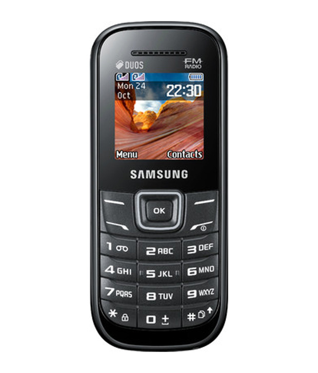 Samsung Guru E1207T Image