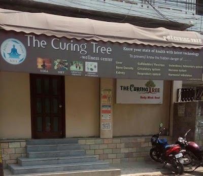 Curing Tree Spa - Padmarao Nagar - Hyderabad Image