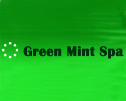 Green Mint Spa - Vahini Nagar - Hyderabad Image