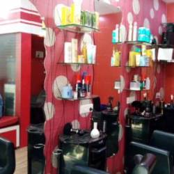 Hair Spring - Borivali West - Mumbai Image