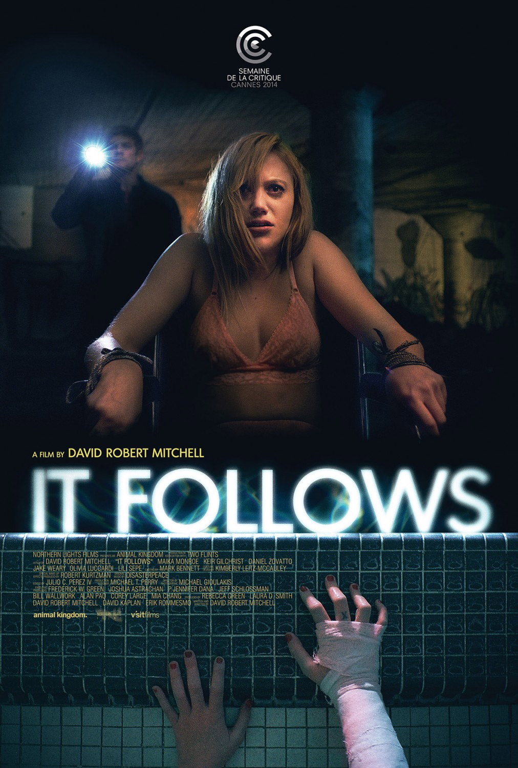 It Follows (2014) Image