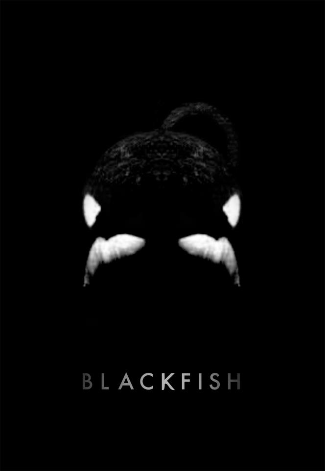 BlackFish Image