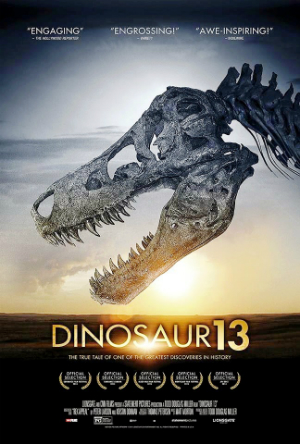 Dinosaur 13 Image