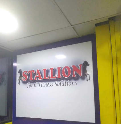 Stallion Gym & Yoga - Nadakkavu East - Kozhikode Image