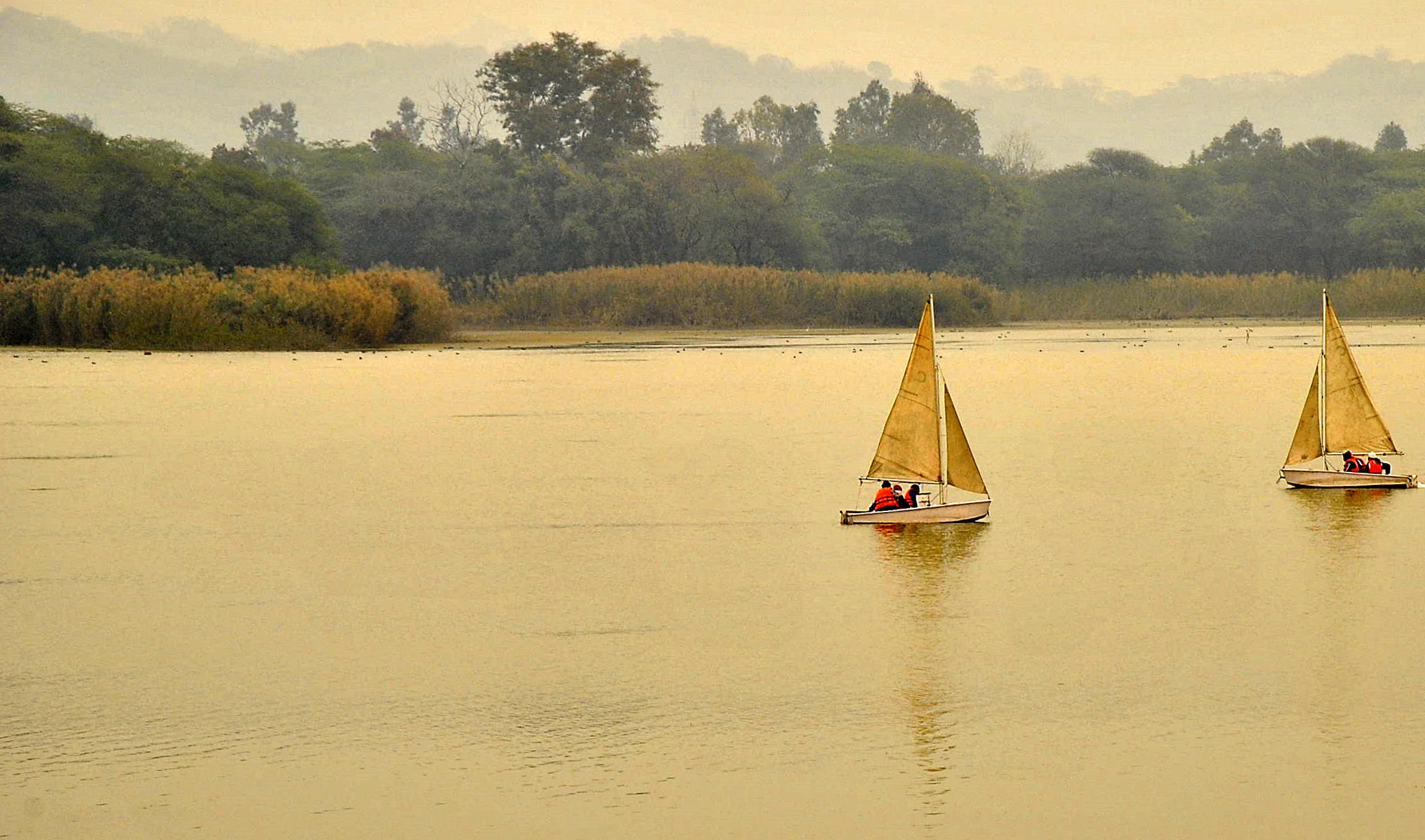 Sukhna Lake - Chandigarh Image