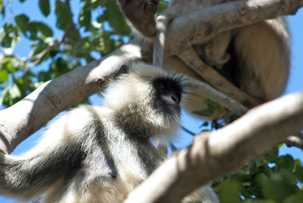 Fakim Wildlife Sanctuary - Zunheboto Image