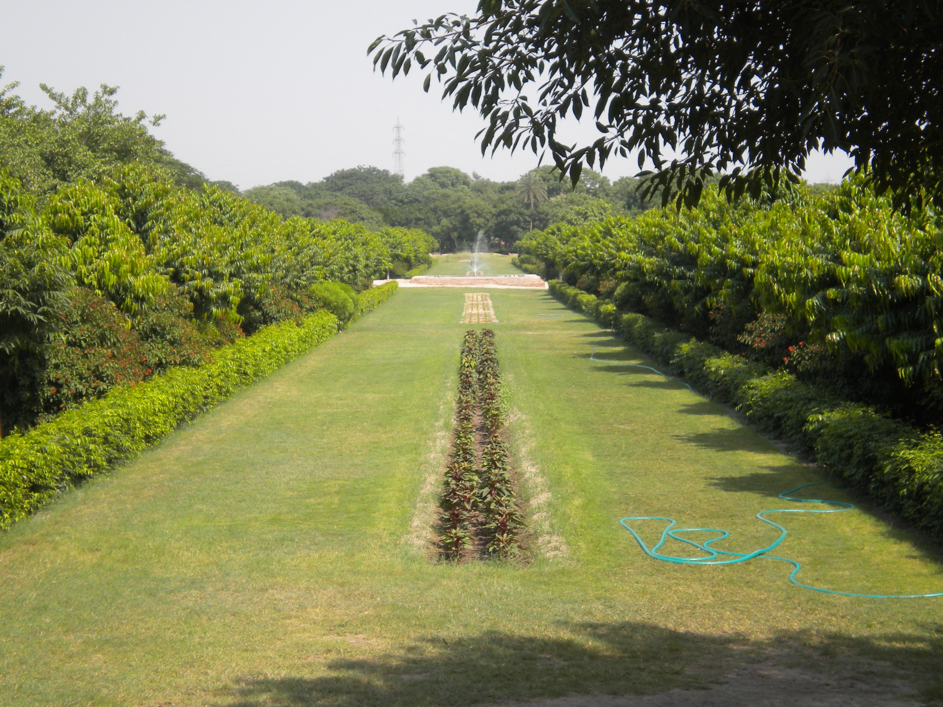 Mehtab Bagh - Agra Image