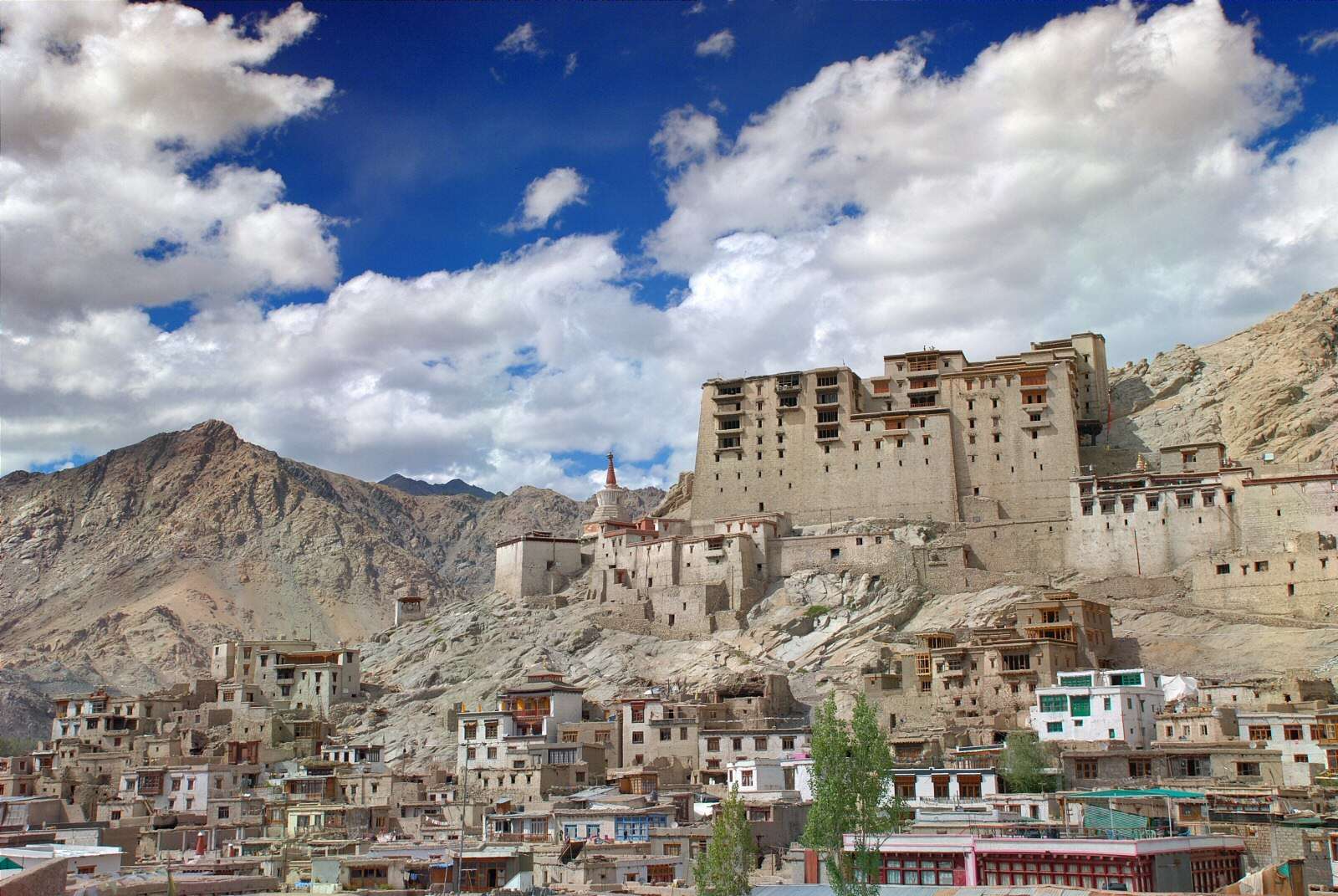 Palace Of The King Of Ladakh - Leh Image