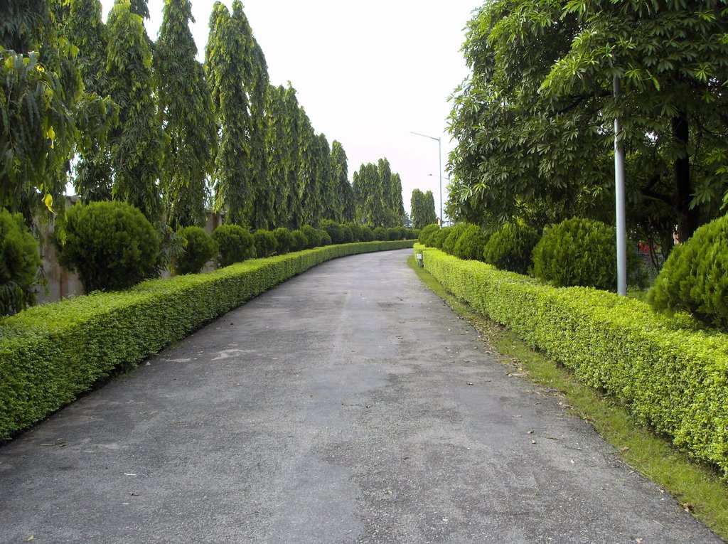 Science City - Siliguri Image