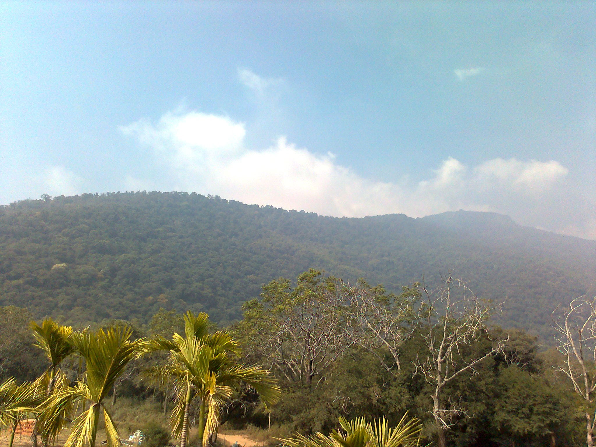 Velliangiri Mountains - Coimbatore Image