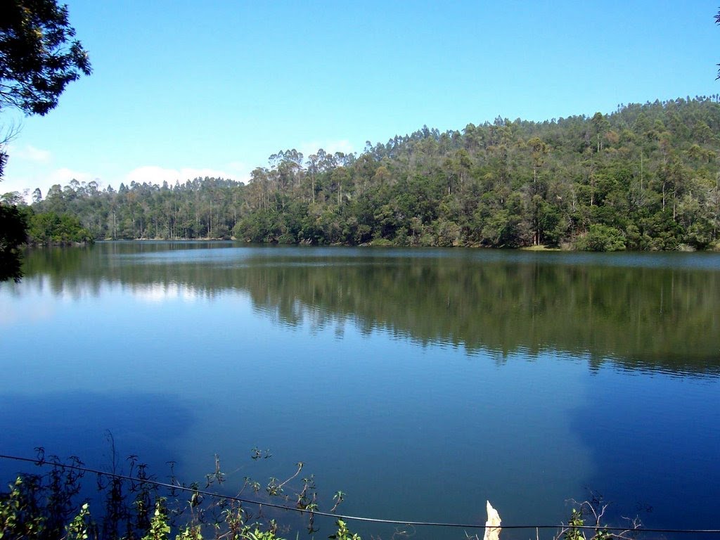 Berijam Lake - Kodaikanal Image