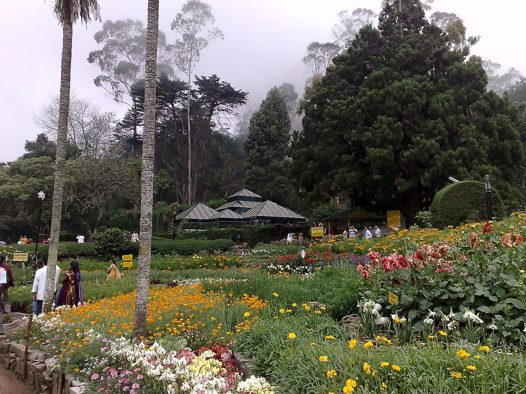 Bryant Park - Kodaikanal Image