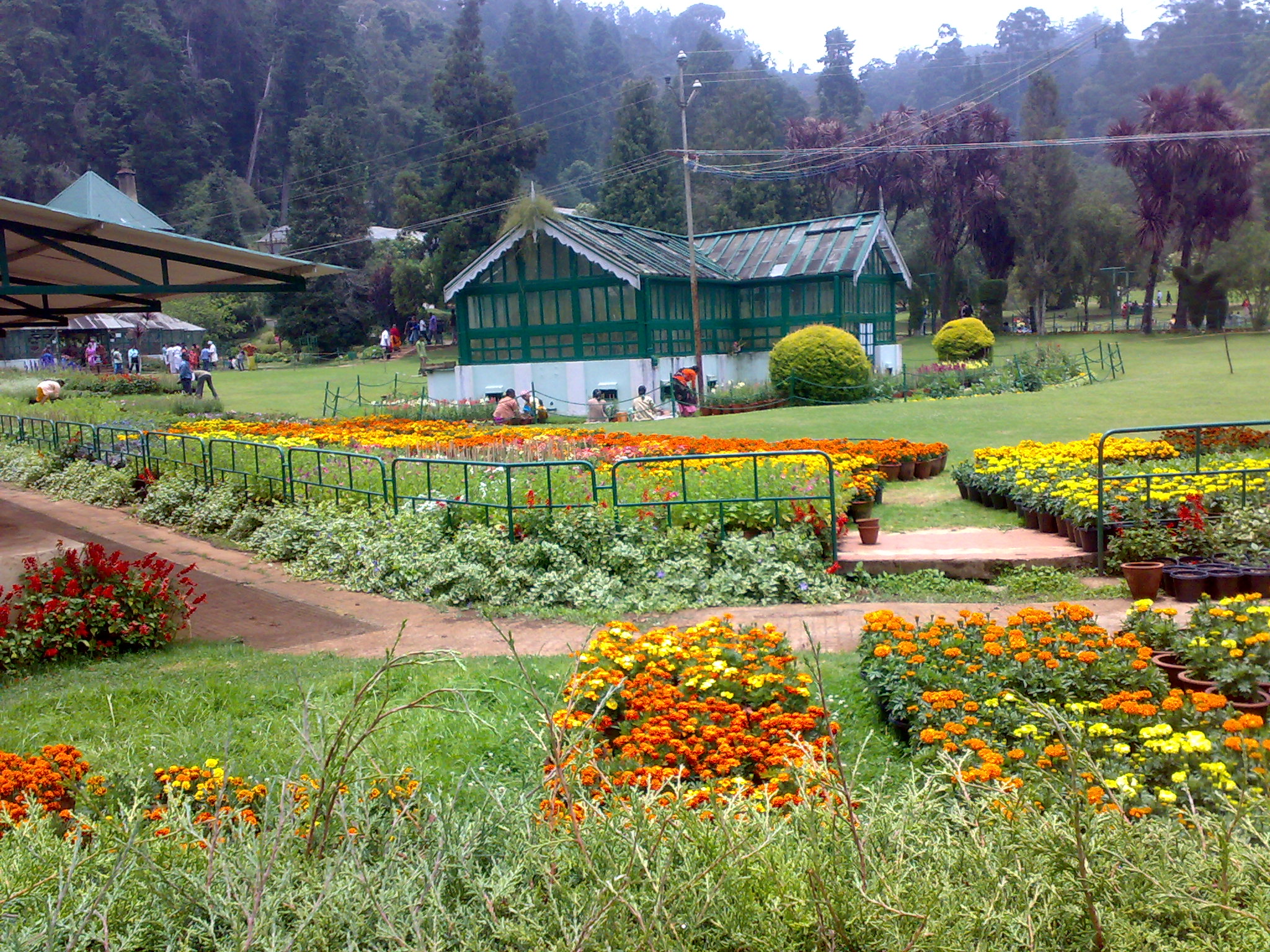 Ooty Botanical Gardens - Ooty Image