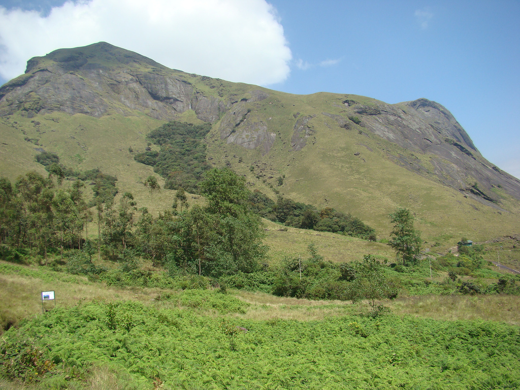 Anamudi Peak - Munnar Image