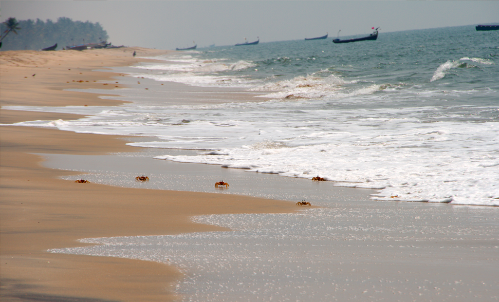 Alleppey Beach - Alleppey Image