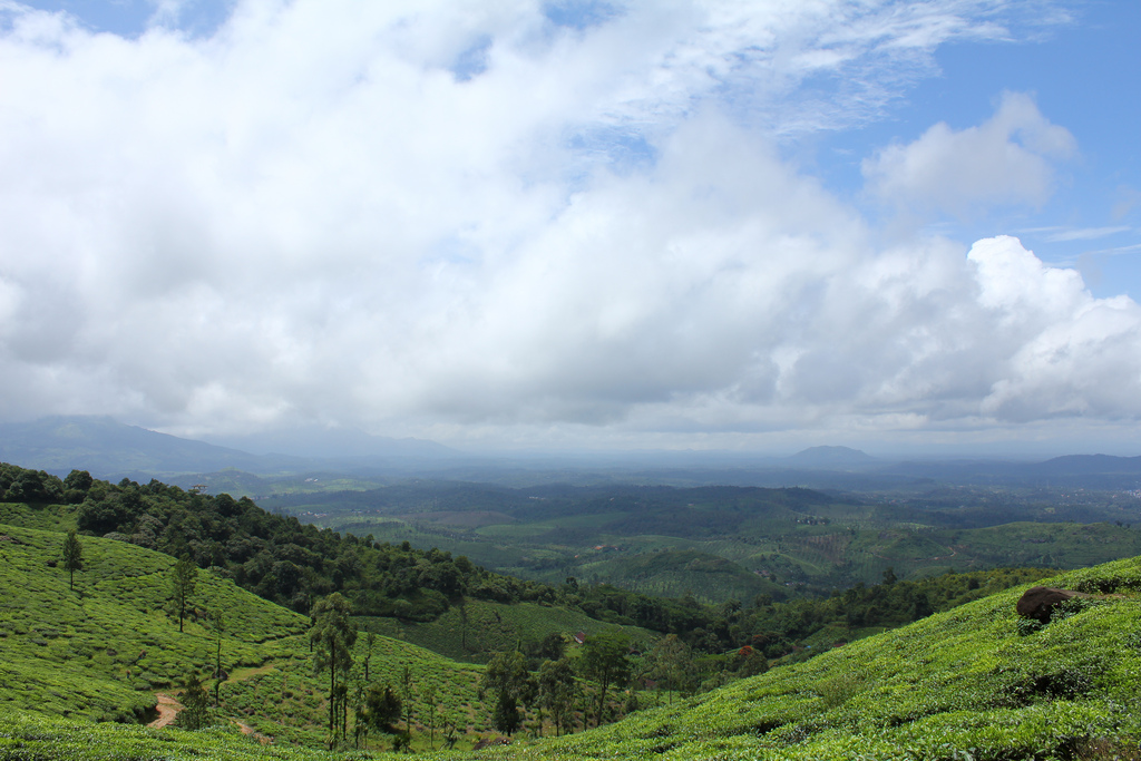 Lakkidi View Point - Wayanad Image