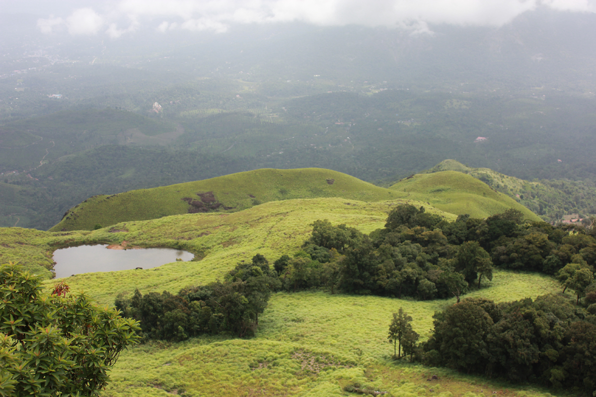 Pookot Lake - Wayanad Image