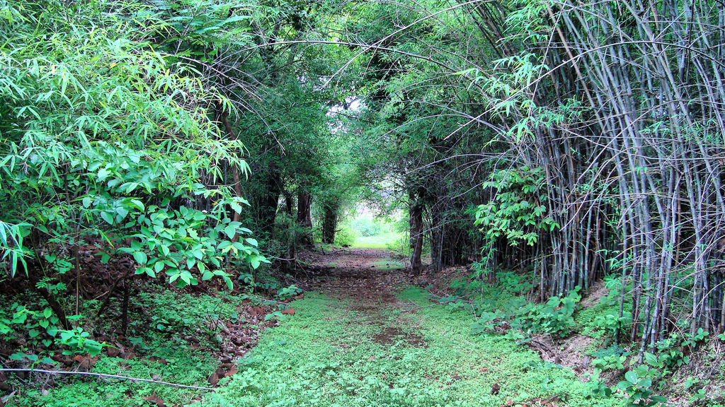 Dumma Nature Reserve - Jabalpur Image