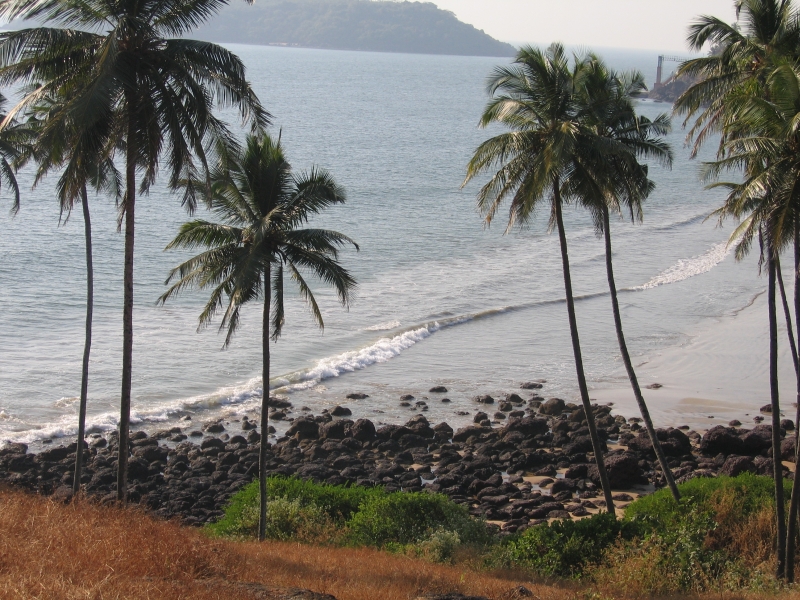 Benaulim Beach - Goa Image