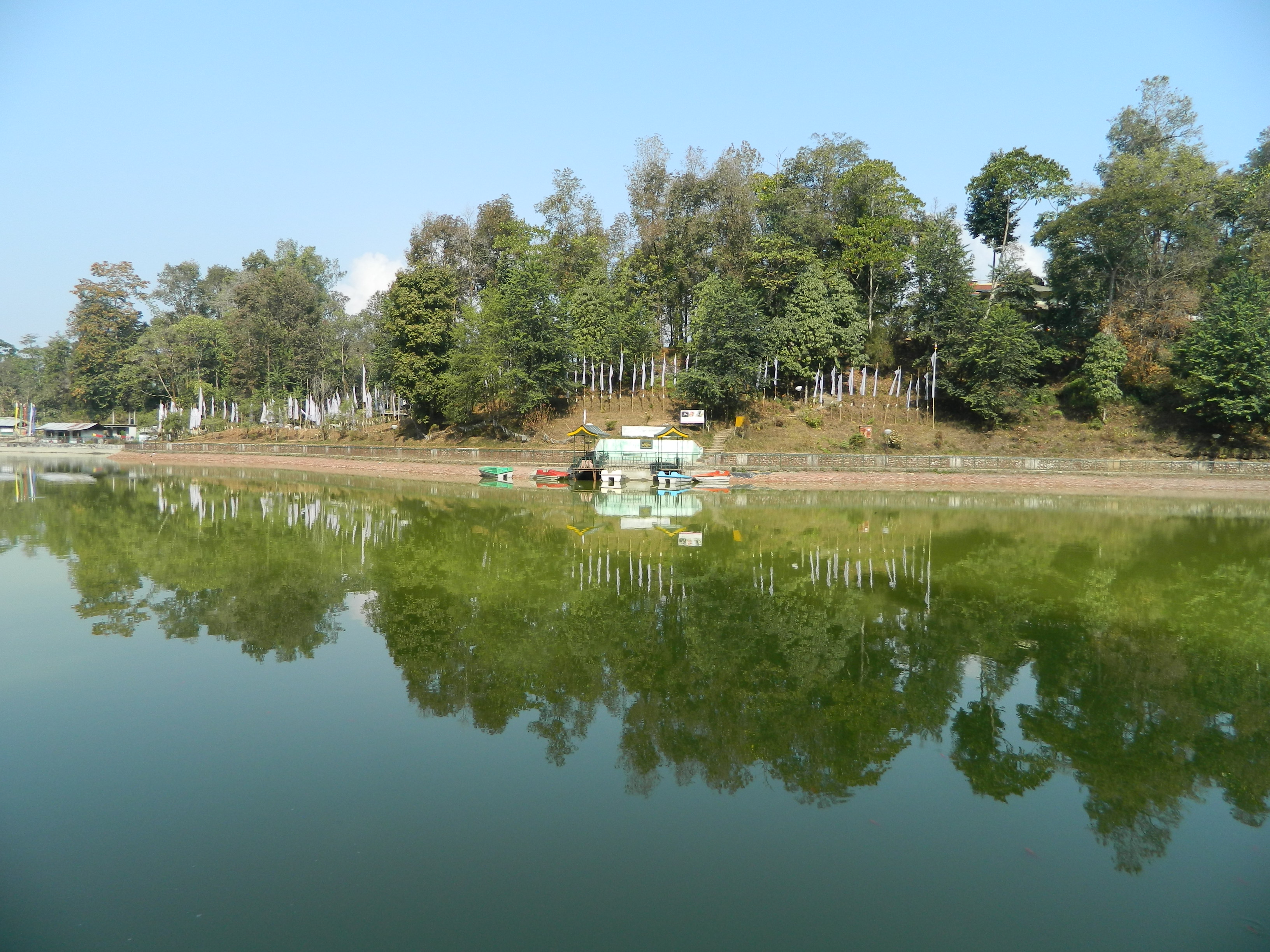 Ever Green Nursery & Ram Gauri Sangrhalaya - Aritar Image
