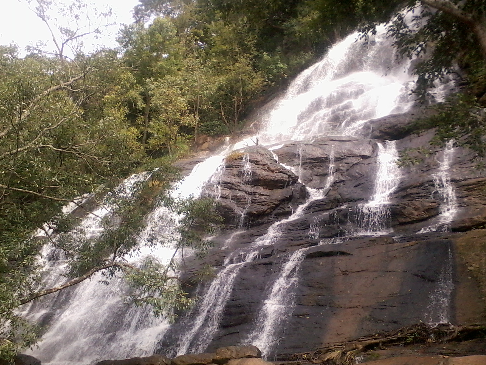 Killyur Falls - Yercaud Image